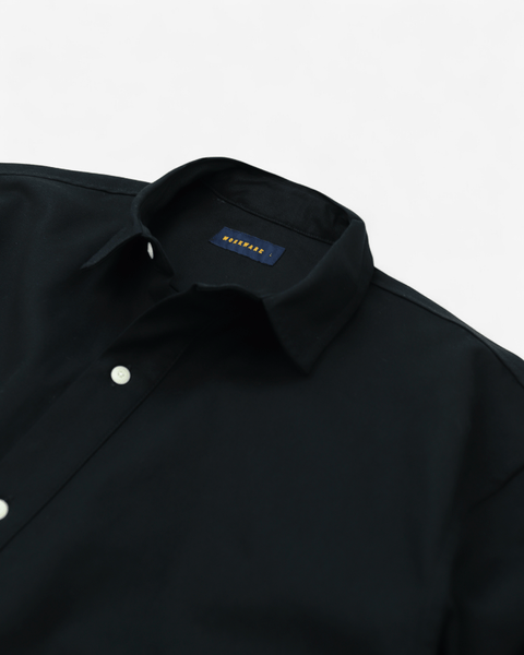 WORKWARE shirt WILD OXFORD SHIRT #574